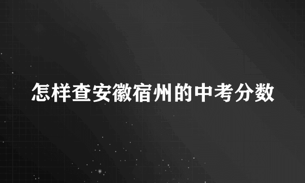 怎样查安徽宿州的中考分数