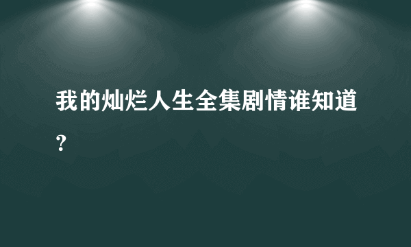 我的灿烂人生全集剧情谁知道？