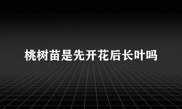 桃树苗是先开花后长叶吗