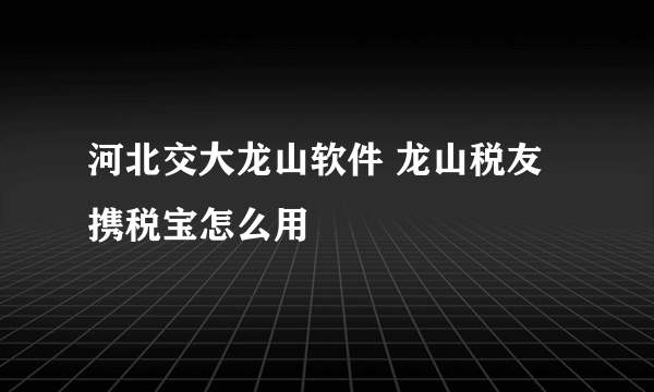 河北交大龙山软件 龙山税友 携税宝怎么用