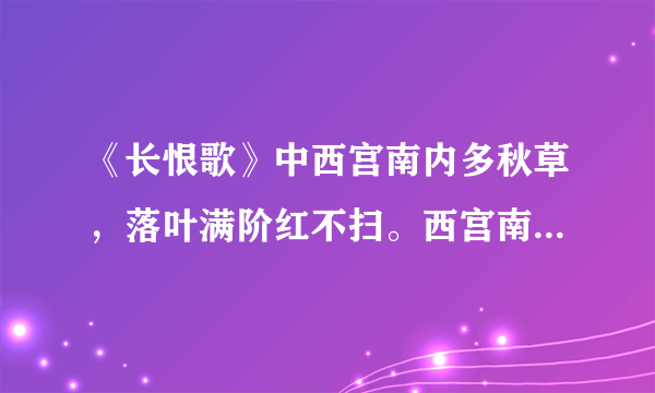 《长恨歌》中西宫南内多秋草，落叶满阶红不扫。西宫南内指的什么？