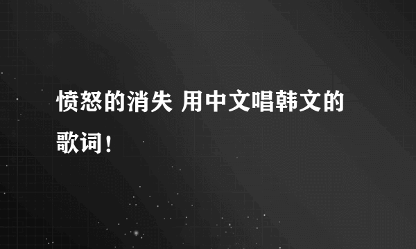 愤怒的消失 用中文唱韩文的歌词！