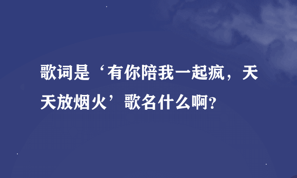 歌词是‘有你陪我一起疯，天天放烟火’歌名什么啊？