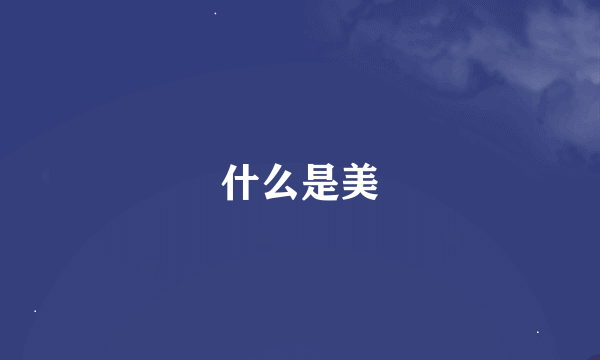 什么是美