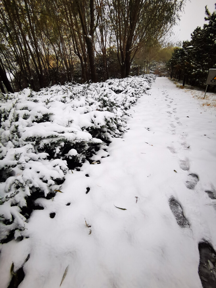 东北本轮降雪是否有极端性？本轮降雪为何积雪厚度深？