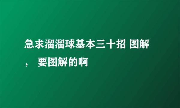 急求溜溜球基本三十招 图解， 要图解的啊