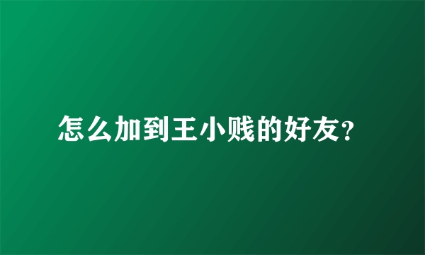 怎么加到王小贱的好友？