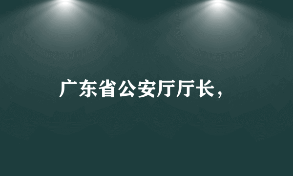 广东省公安厅厅长，