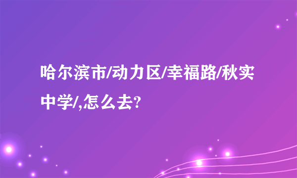 哈尔滨市/动力区/幸福路/秋实中学/,怎么去?