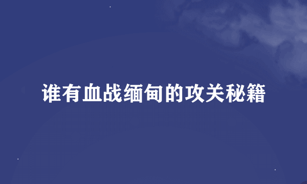 谁有血战缅甸的攻关秘籍