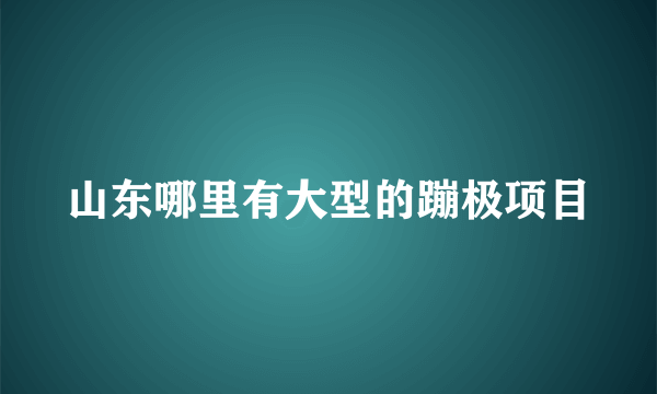 山东哪里有大型的蹦极项目