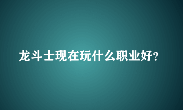 龙斗士现在玩什么职业好？