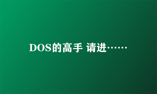 DOS的高手 请进……