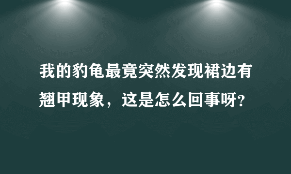 我的豹龟最竟突然发现裙边有翘甲现象，这是怎么回事呀？