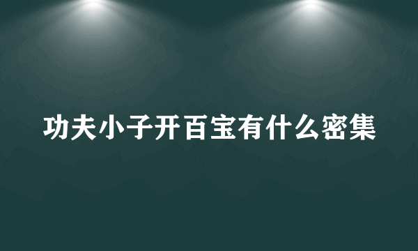 功夫小子开百宝有什么密集