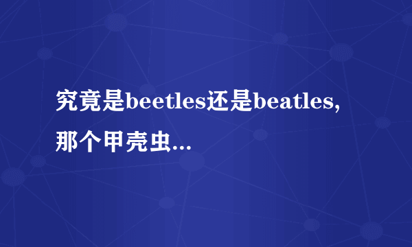 究竟是beetles还是beatles,那个甲壳虫的名称啊？