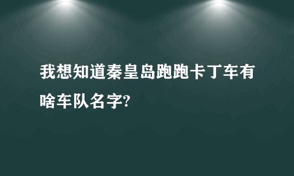 我想知道秦皇岛跑跑卡丁车有啥车队名字?