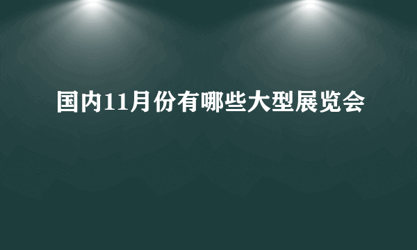 国内11月份有哪些大型展览会