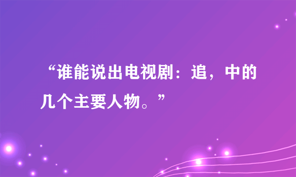 “谁能说出电视剧：追，中的几个主要人物。”