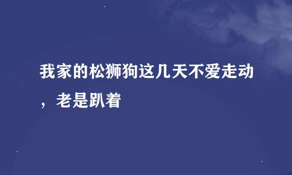 我家的松狮狗这几天不爱走动，老是趴着