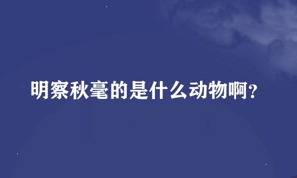 明察秋毫的是什么动物啊？