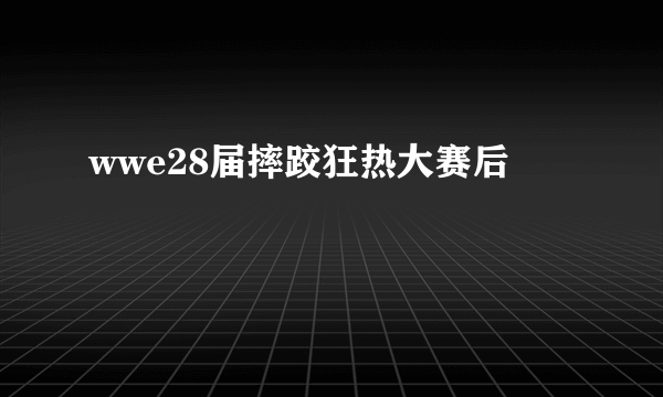 wwe28届摔跤狂热大赛后