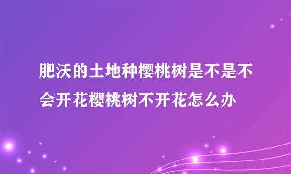 肥沃的土地种樱桃树是不是不会开花樱桃树不开花怎么办