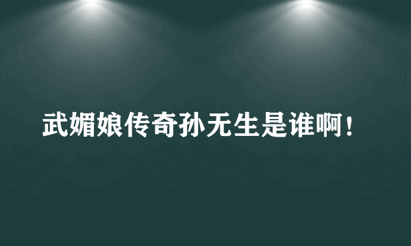 武媚娘传奇孙无生是谁啊！