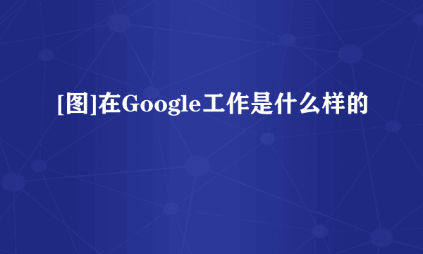 [图]在Google工作是什么样的