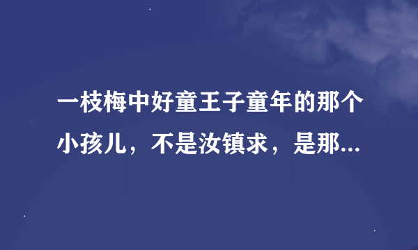 一枝梅中好童王子童年的那个小孩儿，不是汝镇求，是那个更小一点的男孩儿叫啥啊