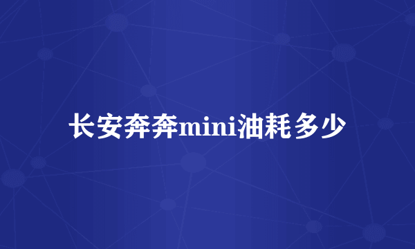 长安奔奔mini油耗多少