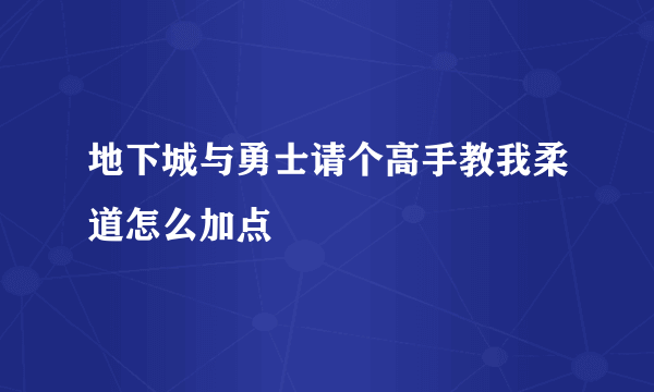 地下城与勇士请个高手教我柔道怎么加点