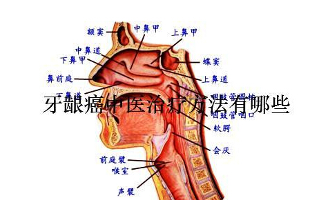 牙床癌的病因因素