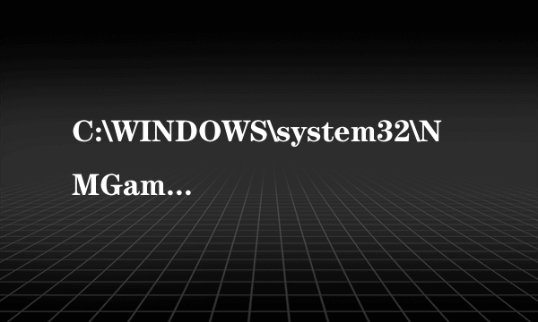 C:\WINDOWS\system32\NMGameXWLOBBY-1WLOBBY-1.EXE