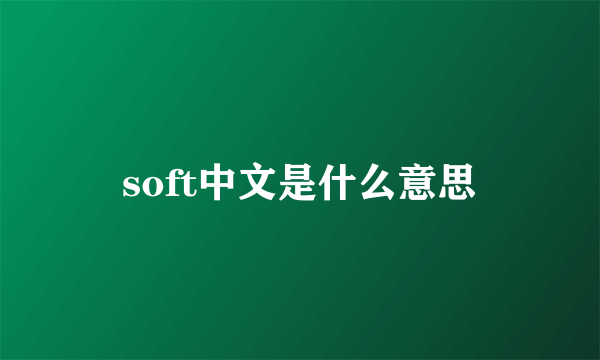 soft中文是什么意思