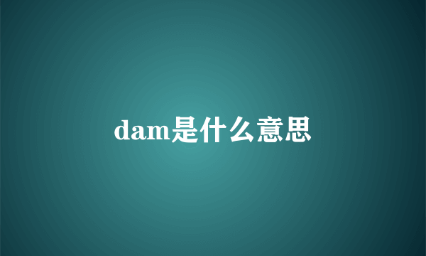 dam是什么意思