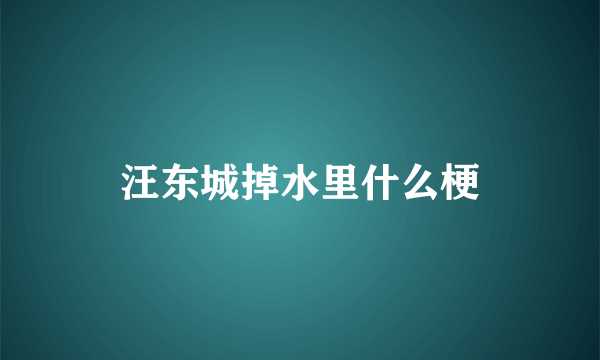 汪东城掉水里什么梗