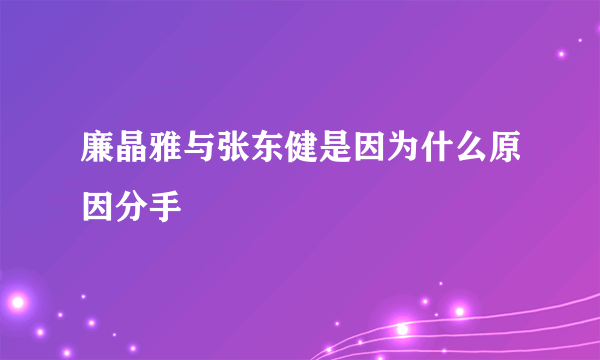 廉晶雅与张东健是因为什么原因分手