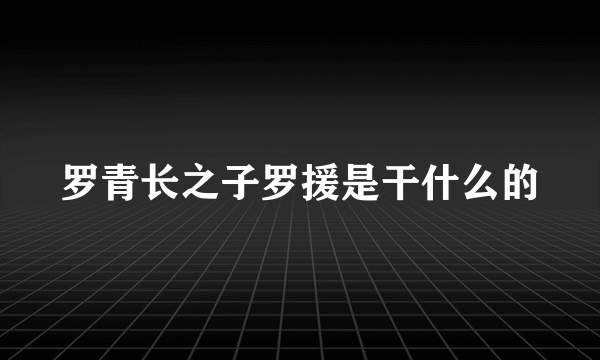 罗青长之子罗援是干什么的