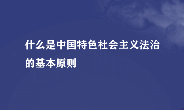 什么是中国特色社会主义法治的基本原则