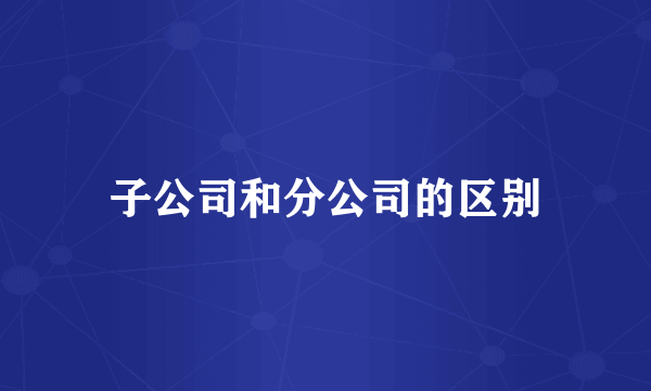 子公司和分公司的区别