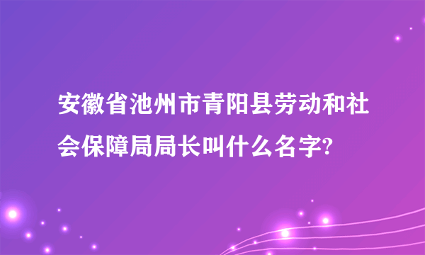 安徽省池州市青阳县劳动和社会保障局局长叫什么名字?