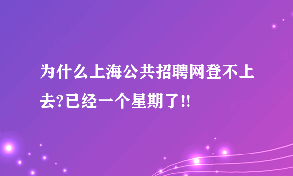 为什么上海公共招聘网登不上去?已经一个星期了!!