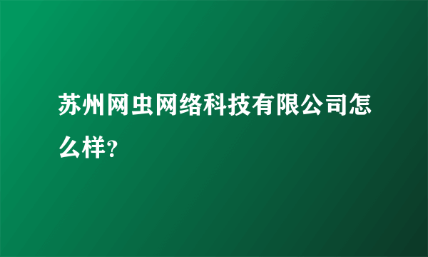 苏州网虫网络科技有限公司怎么样？