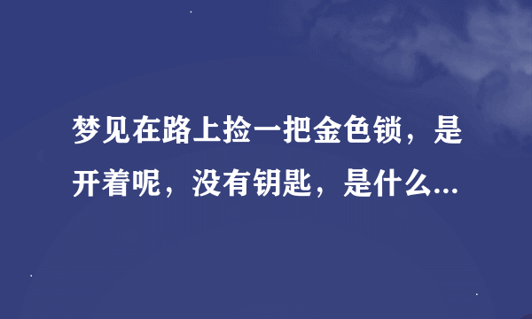 梦见在路上捡一把金色锁，是开着呢，没有钥匙，是什么意思呢？？？