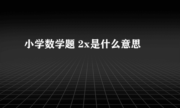 小学数学题 2x是什么意思