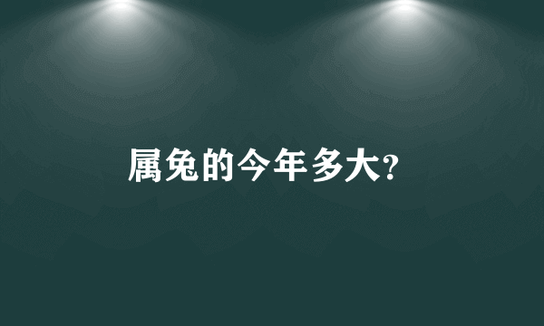 属兔的今年多大？