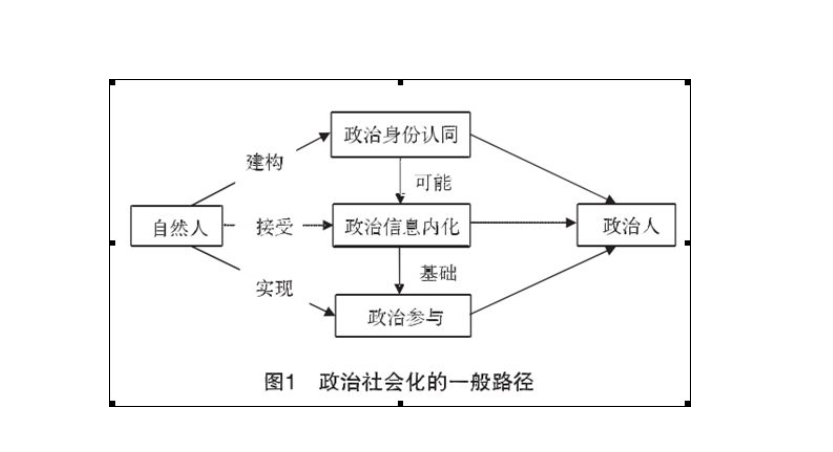 什么是政治社会化？