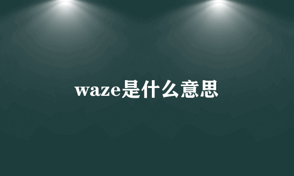 waze是什么意思