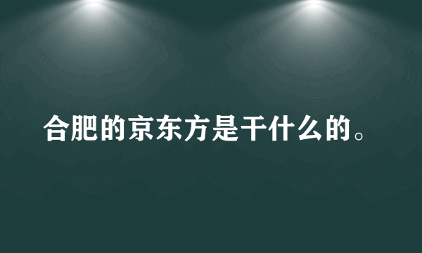 合肥的京东方是干什么的。